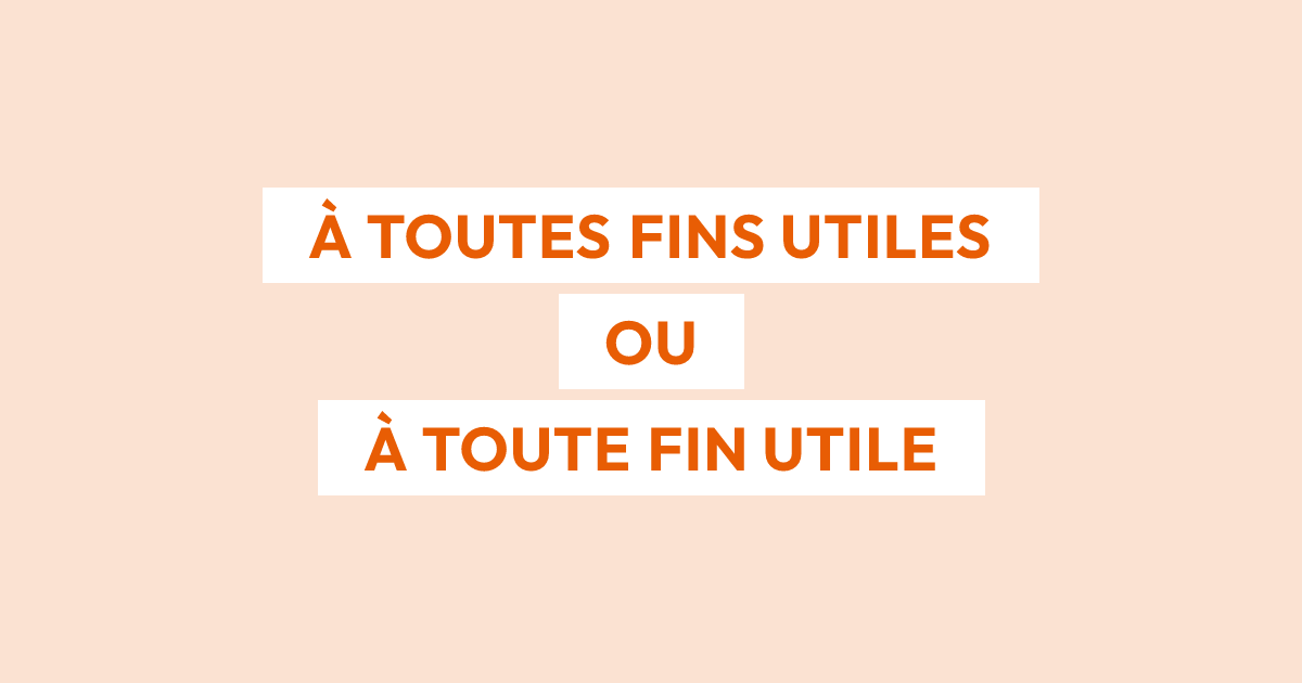 Faut-il écrire « à toutes fins utiles » ou « à toute fin utile » ?